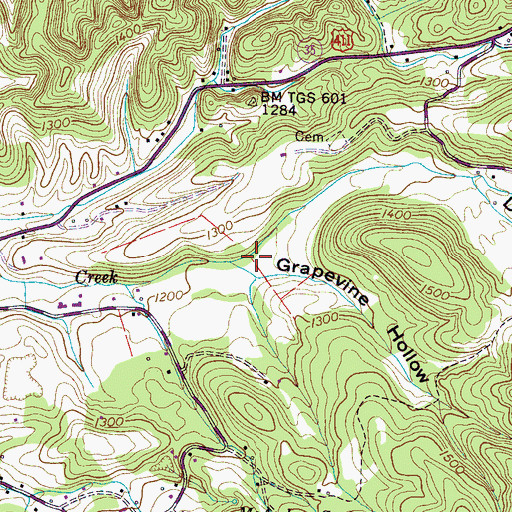 Topographic Map of Dooley Hollow, TN