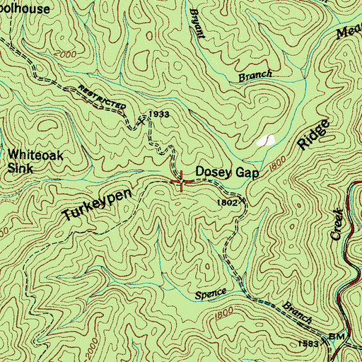 Topographic Map of Dosey Gap, TN