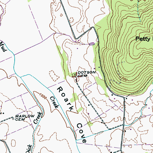 Topographic Map of Dotson Cemetery, TN