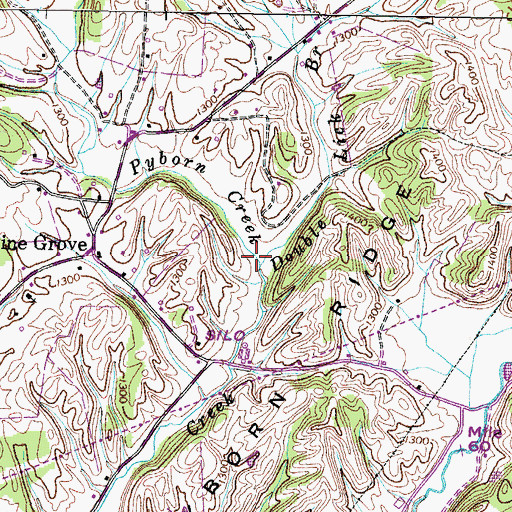 Topographic Map of Double Lick Branch, TN