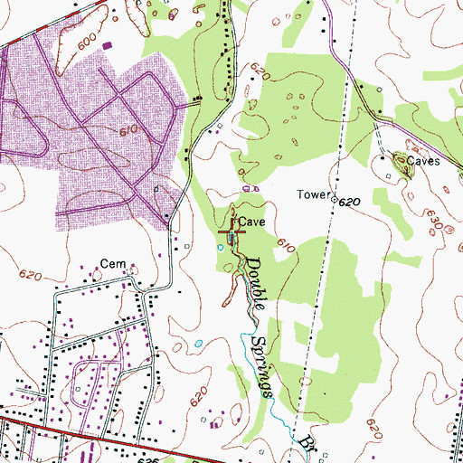 Topographic Map of Double Springs Branch, TN