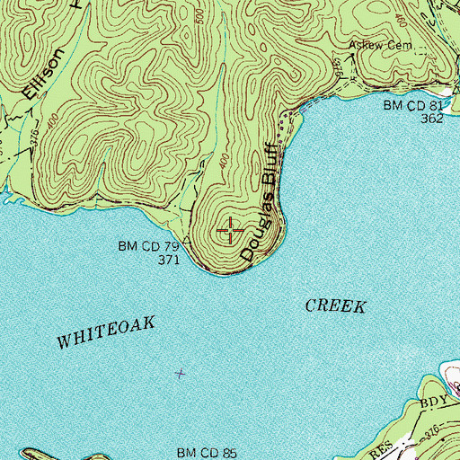 Topographic Map of Douglas Bluff, TN