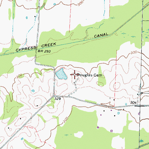Topographic Map of Douglas Cemetery, TN