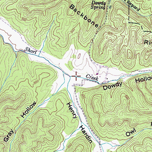 Topographic Map of Dowdy Hollow, TN