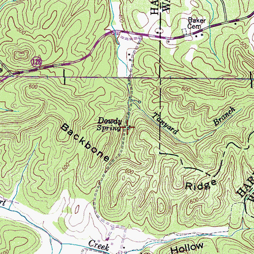 Topographic Map of Dowdy Spring, TN