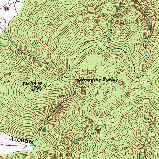 Topographic Map of Dripping Spring, TN