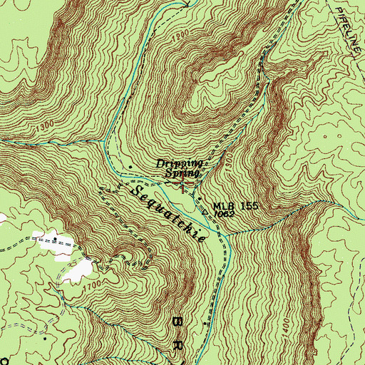 Topographic Map of Dripping Spring, TN