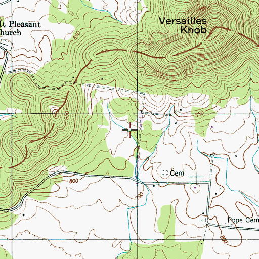 Topographic Map of Dripping Spring, TN