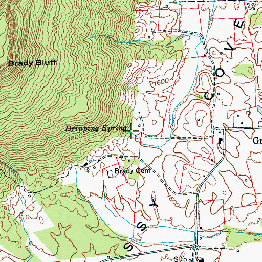 Topographic Map of Dripping Spring, TN