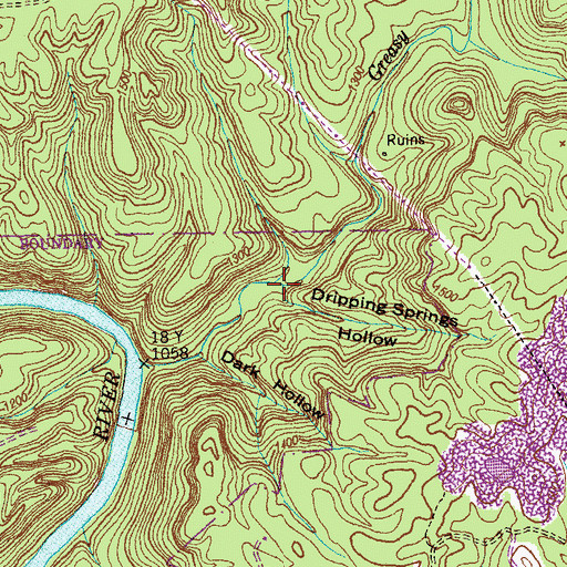 Topographic Map of Dripping Springs Hollow, TN