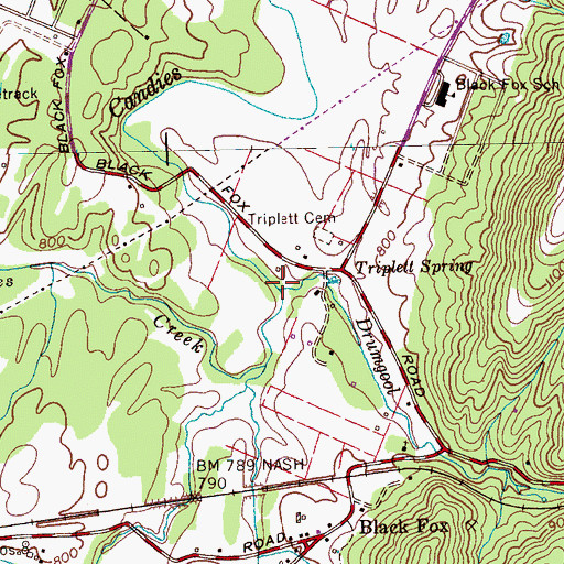 Topographic Map of Drumgool Creek, TN