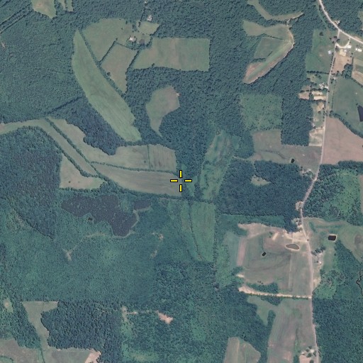 Aerial/Satellite Image of Dry Branch, TN