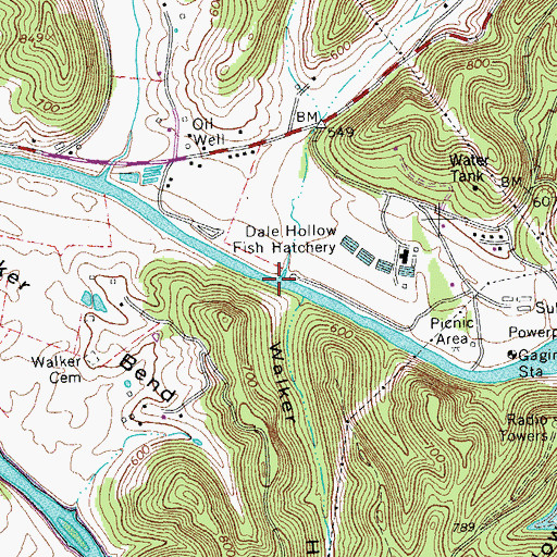 Topographic Map of Dry Branch, TN