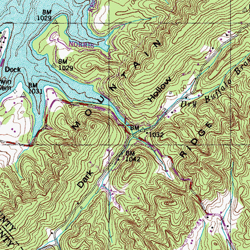 Topographic Map of Dry Buffalo Branch, TN