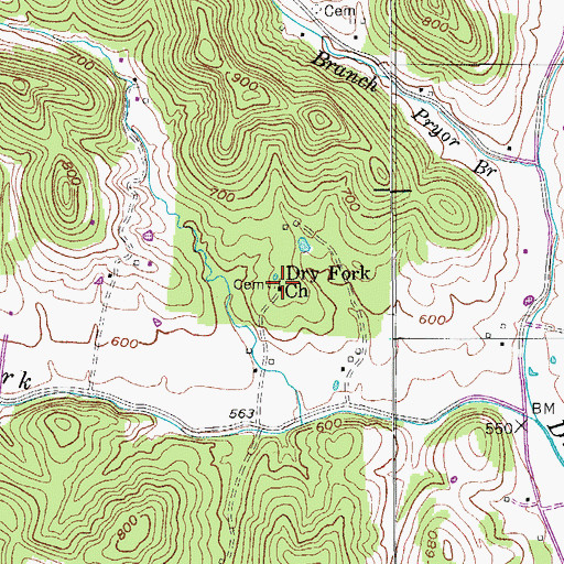 Topographic Map of Dry Fork Church, TN