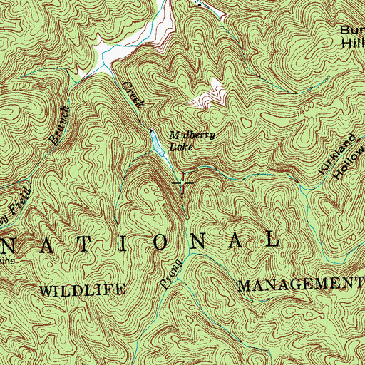 Topographic Map of Dry Prong, TN
