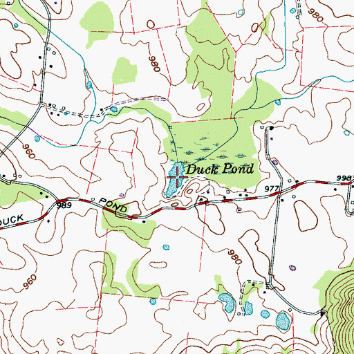 Topographic Map of Duck Pond, TN