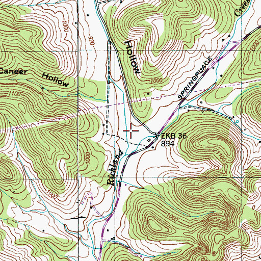 Topographic Map of Duckworth Hollow, TN