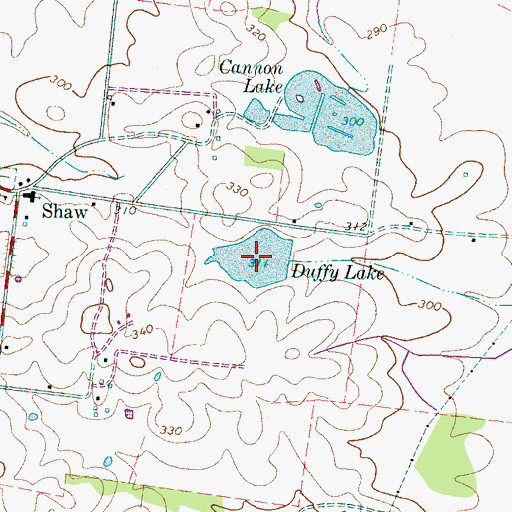 Topographic Map of Duffy Lake, TN