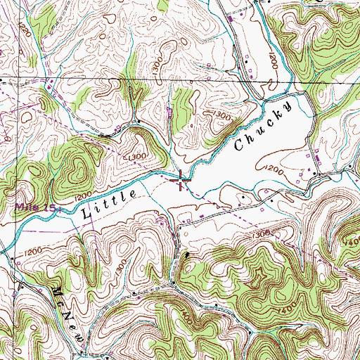 Topographic Map of Dulaney Branch, TN