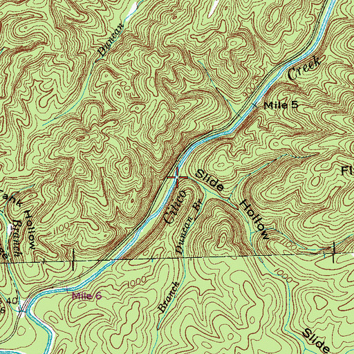Topographic Map of Duncan Branch, TN