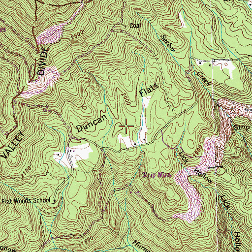 Topographic Map of Duncan Flats, TN