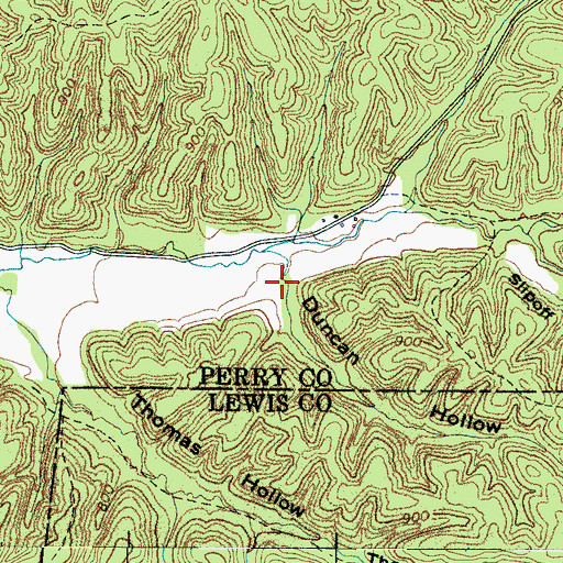 Topographic Map of Duncan Hollow, TN