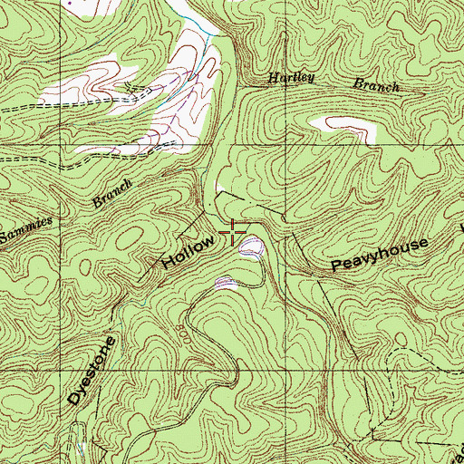 Topographic Map of Dyestone Hollow, TN
