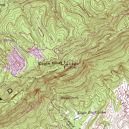 Topographic Map of Eagle Bluff, TN