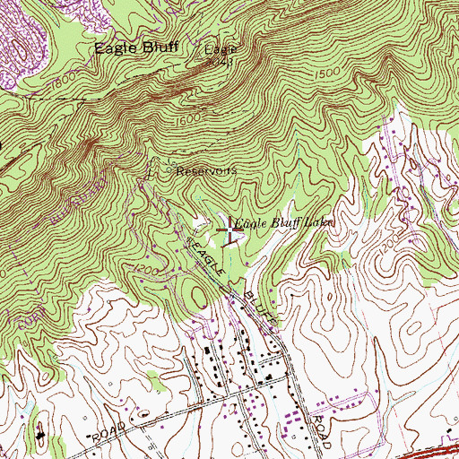 Topographic Map of Eagle Bluff Lake, TN