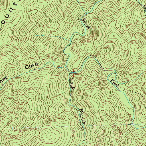 Topographic Map of Eagle Branch, TN