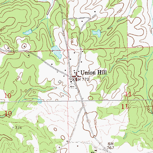Topographic Map of Union Hill, AL