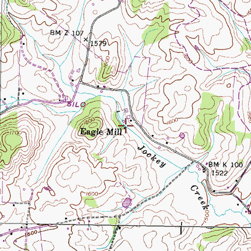 Topographic Map of Eagle Mill, TN