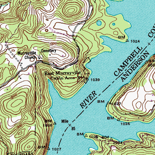 Topographic Map of East Murrayville Cabin Area, TN