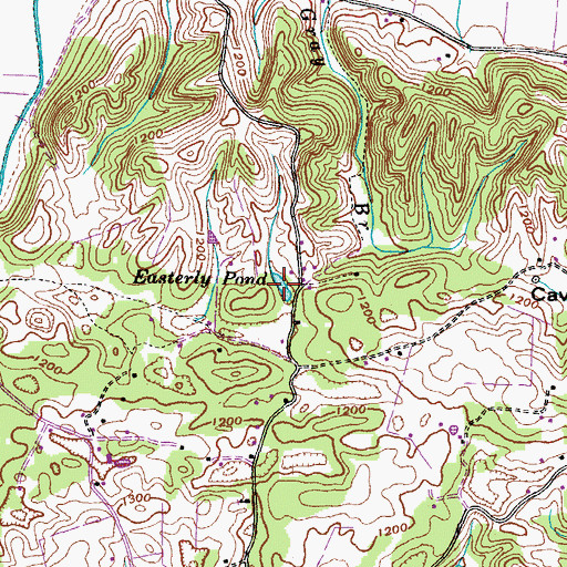 Topographic Map of Easterly Pond, TN
