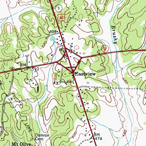 Topographic Map of Eastview, TN