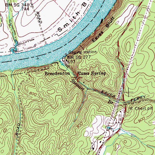 Topographic Map of Eaves Spring, TN