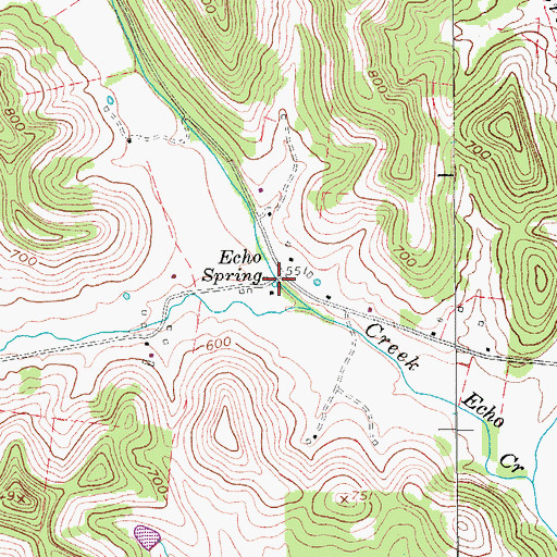 Topographic Map of Echo Spring, TN