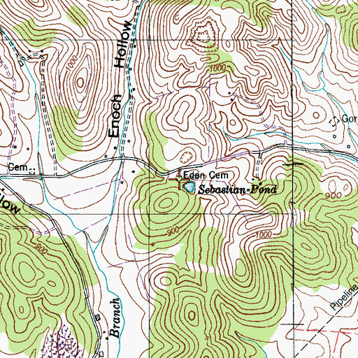 Topographic Map of Eden Cemetery, TN