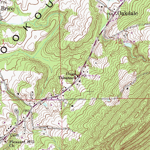 Topographic Map of Union Tabernacle, AL
