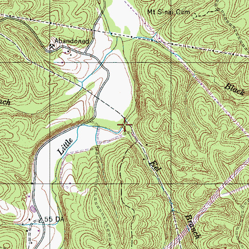 Topographic Map of Eel Branch, TN