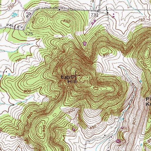 Topographic Map of Egypt Hill, TN