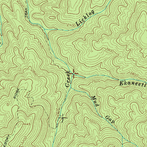 Topographic Map of Ekaneetlee Branch, TN