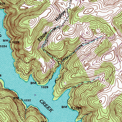 Topographic Map of Elbow Hollow, TN