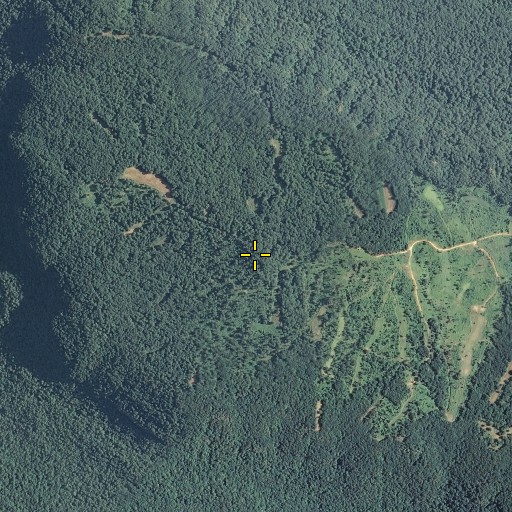 Aerial/Satellite Image of Elder Mountain, TN