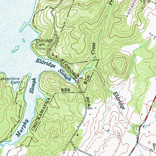 Topographic Map of Eldridge Branch, TN