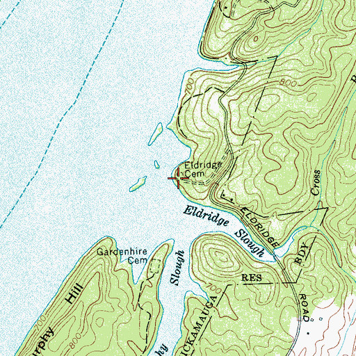 Topographic Map of Eldridge Cemetery, TN
