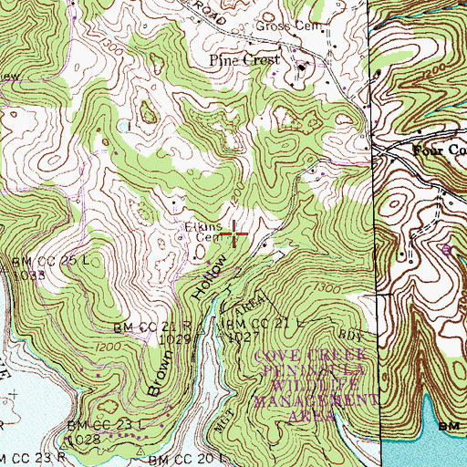 Topographic Map of Elkins Cemetery, TN