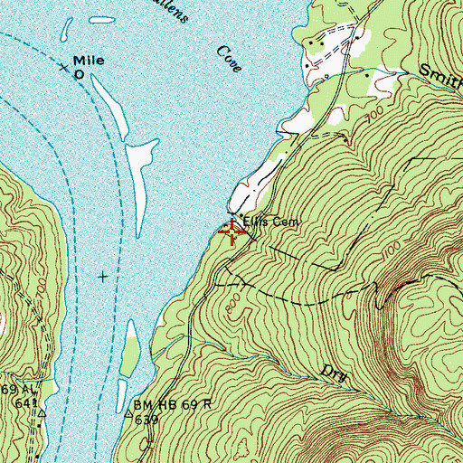 Topographic Map of Ellis Cemetery, TN