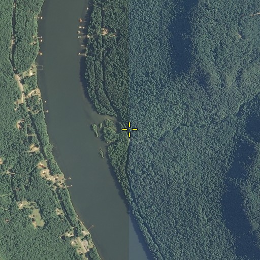 Aerial/Satellite Image of Ellis Spring, TN